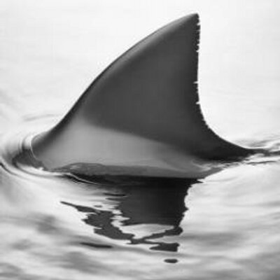 Profile Picture of Matt (@Matt_Mako) on Twitter