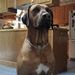 Profile Picture of Jeffrey Jacquart (@jeffreyjacquart) on Pinterest