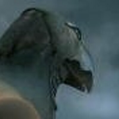 Profile Picture of Karl Neumann (@khgjn) on Twitter