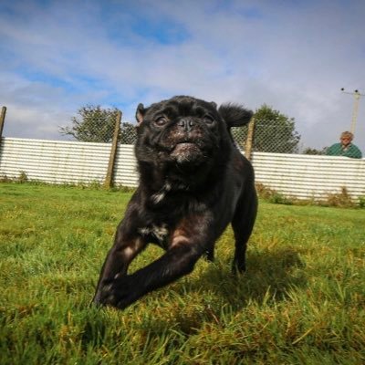 Profile Picture of Charlie Cotton (@Charlie36144951) on Twitter