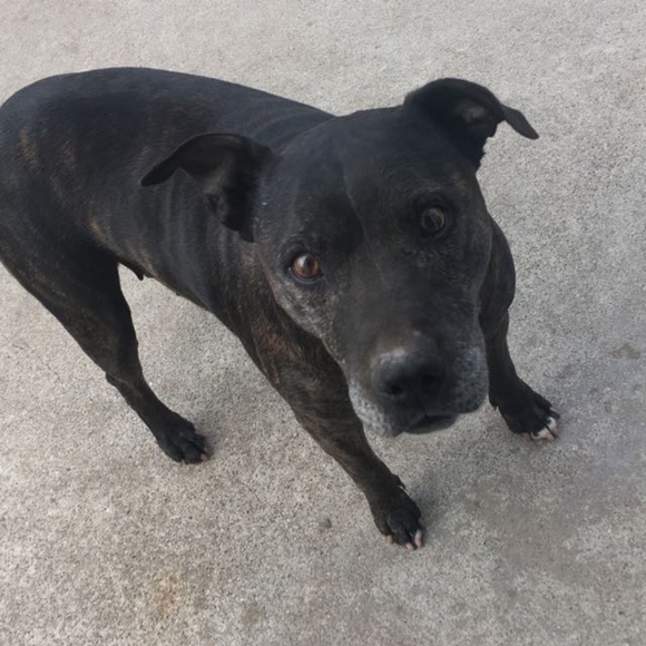 Profile Picture of Joseph Montez mcmann (@joethepro805) on Poshmark