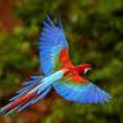 Profile Picture of Hamdy Hussein (@Hamdyj) on Twitter