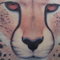 Profile Picture of David Maron (@david-maron-8) on Quora