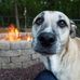 Profile Picture of Dawn Graham (@dawn.graham.338) on Facebook