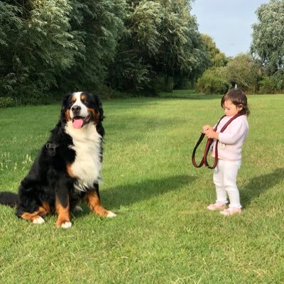 Profile Picture of Josh Kilby (@JoshKilby9) on Twitter