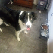 Vincent Armstrong - Youtube Profile Picture of Vincent Armstrong (@how.to.unlock) on Youtube