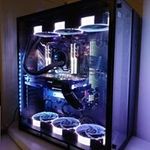 Profile Picture of Mike Thiele (@mike_thiele) on Instagram