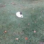 Profile Picture of Steve Masse (@masse7347) on Instagram