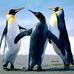 Profile Picture of Anil Mahesh (@anil.mahesh.165) on Facebook