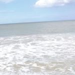 Profile Picture of Brian Goulart (@goulartbrian) on Instagram