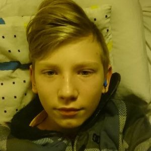 Profile Picture of Alex Rohe (@AlexRohe3) on Twitter