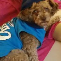 Profile Picture of Lillian Watson (@lillian-watson-4) on Quora