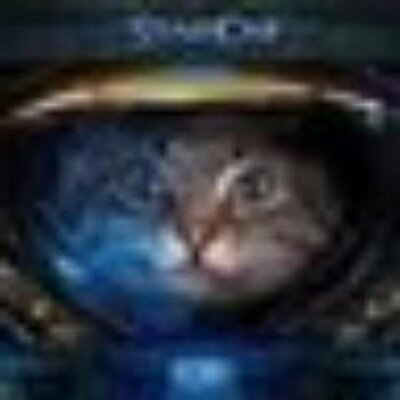 Profile Picture of Daniel Linde (@Dongumba) on Twitter