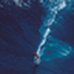 Profile Picture of Carlos Bento (@carlosbento) on Flickr