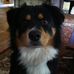 Profile Picture of Paulette Hubble Wahlquist (@Paulette-Hubble-Wahlquist) on Facebook