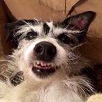 Profile Picture of David Llewellyn (@llewellyn1980) on Instagram