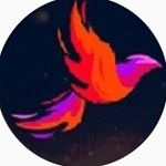 Profile Picture of Fénix Team (@fenixteam_oficial) on Instagram