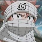 Aneko (@falco18202) TikTok... - Tiktok Profile Picture of   Aneko (@falco18202) TikTok... (@falco18202) on Tiktok