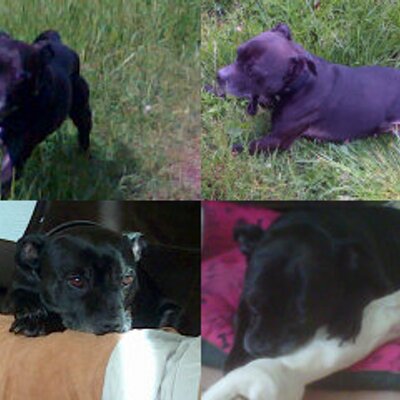 Profile Picture of Holly Allan (@KeithHolly2k03) on Twitter