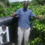 Profile Picture of Winston Lambert (@winstonlambert06) on Instagram