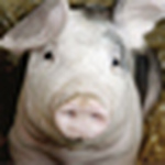 Profile Picture of J.k. Vanleer (@j.k. vanleer) on Flickr