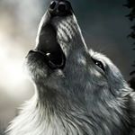 Profile Picture of jessi____conrad (@jessi____con) on Instagram