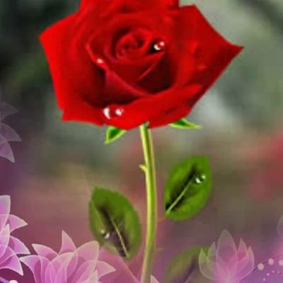 Profile Picture of Marimawad (@marimawad2) on Twitter