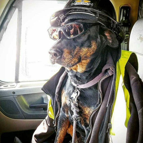 Profile Picture of Peter Neilson (@batemanbilly824) on Poshmark