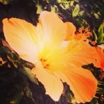 Profile Picture of Peter Zervos (@p.z_backup) on Instagram