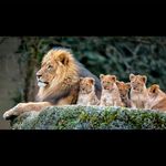 Profile Picture of Michael GoodHope Mlotshwa (@michael_goodhope_mlotshwa) on Instagram