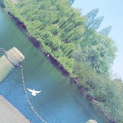 Jess Miles - Youtube Profile Picture of Jess Miles (@jessmiles8591) on Youtube