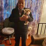 Profile Picture of shirley (@shirley_james134) on Instagram