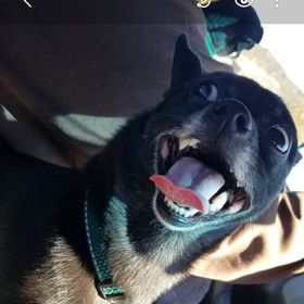 Profile Picture of Lillian Schneider (@lillianschneider0176) on Pinterest