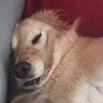 Profile Picture of Caleb Remington (@remington.caleb) on Instagram