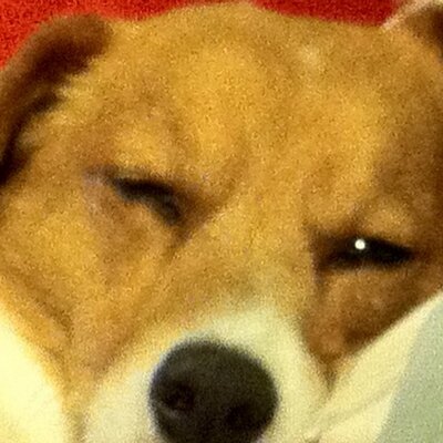 Profile Picture of Derek Platt (@home7007) on Twitter
