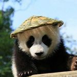 Profile Picture of Andrew Almonte (@_andrew570) on Instagram