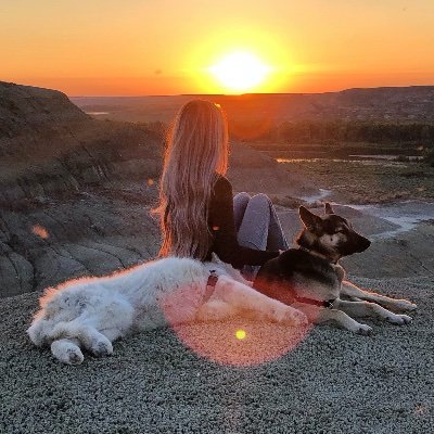 Profile Picture of Jessie Breton (@commotio_cordis) on Twitter