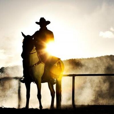 Mahmoud Abd El Wahab - Twitter Profile Picture of Mahmoud Abd El Wahab (@ElCat90) on Twitter