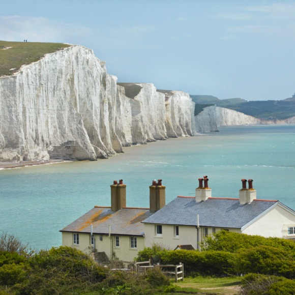 Evan Gilbert - Poshmark Profile Picture of Evan Gilbert (@melontiger999) on Poshmark