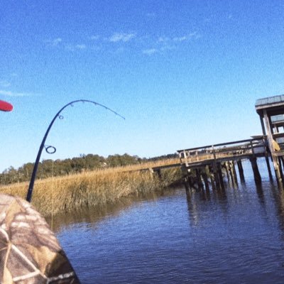 Profile Picture of Andrew Weil (@AndrewWeil1) on Twitter