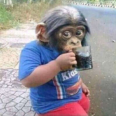 Profile Picture of Rigoberto Macias (@Rigober73027712) on Twitter