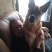 Profile Picture of John Petri (@john.petri.1694) on Facebook