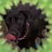 Profile Picture of Jacob Knorr (@jacob.knorr.1069) on Facebook