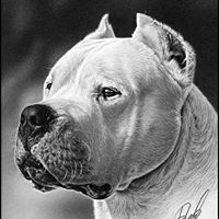 Profile Picture of John Lamb (@johnlamb5473894) on Pinterest