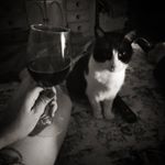 Profile Picture of Mirtha Castro (@mirtha.castro.serrano) on Instagram