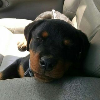 Profile Picture of lillian josephine kohler (@lillianjosephinekohl) on Instagram