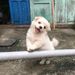 Profile Picture of Felix Pandu (@felixpandu) on Pinterest