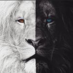 Profile Picture of Tom Cunningham (@tomdoa1981) on Instagram