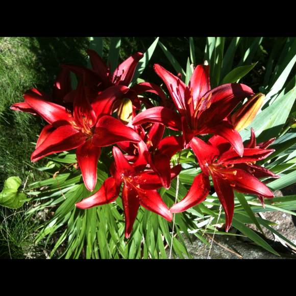 Kristine Weissenfluh - Poshmark Profile Picture of Kristine Weissenfluh (@mamafluh) on Poshmark