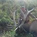 Profile Picture of Mark Fiedler (@fiedler0101) on Pinterest